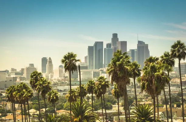 Private Jet from Houston to Los Angeles